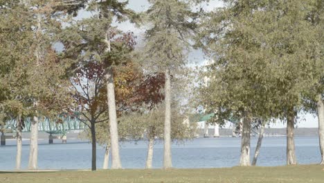 Mackinac-Bridge-in-Mackinaw-City,-Michigan-with-a-slow-leg-to-right-dolly-shot-moving-through-tress-and-then-a-view-of-the-bridge