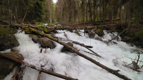 Río-De-Montaña-En-El-Bosque-En-Cámara-Lenta.-Hermoso-Paisaje-De-Vida-Silvestre.