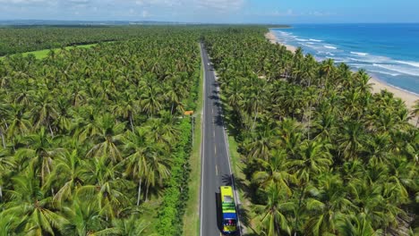 reverse shot at nagua's entrance showcasing coconut trees, a beautiful beach, and cars passing by on a sunny day, capturing the vibrant essence of this tropical paradise.