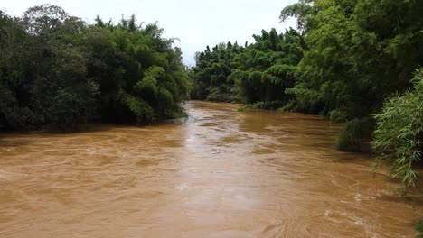 río fangoso inundado desbordado, después de fuertes lluvias en la zona de bosques tropicales