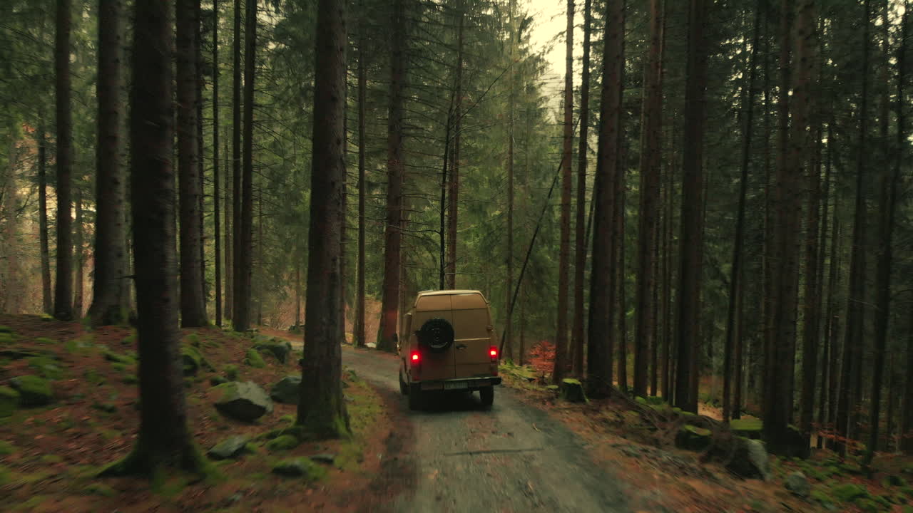 Van driving through a forest