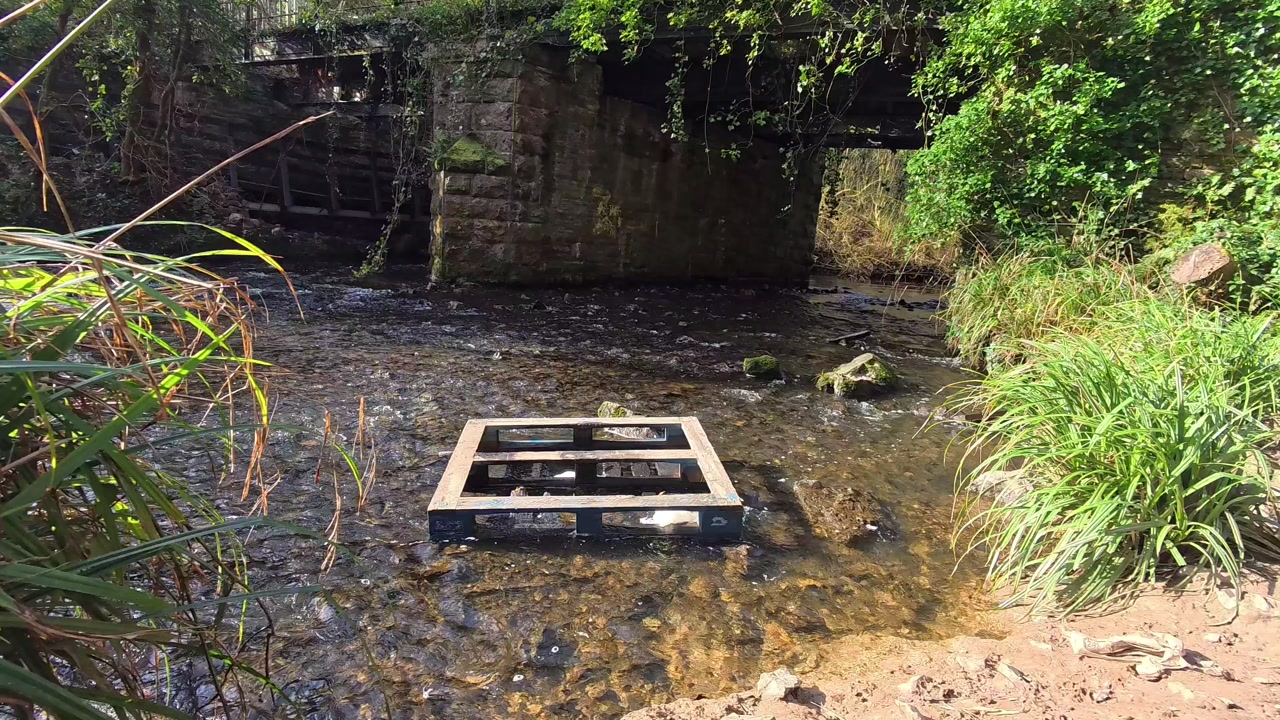 Wooden pallet in slow flowing sparkling transparent river under sunlit stone railway bridge