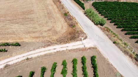 Flyover-Farmland-Drone-Slow-Pan-UpShot-to-Lake-and-Mountains