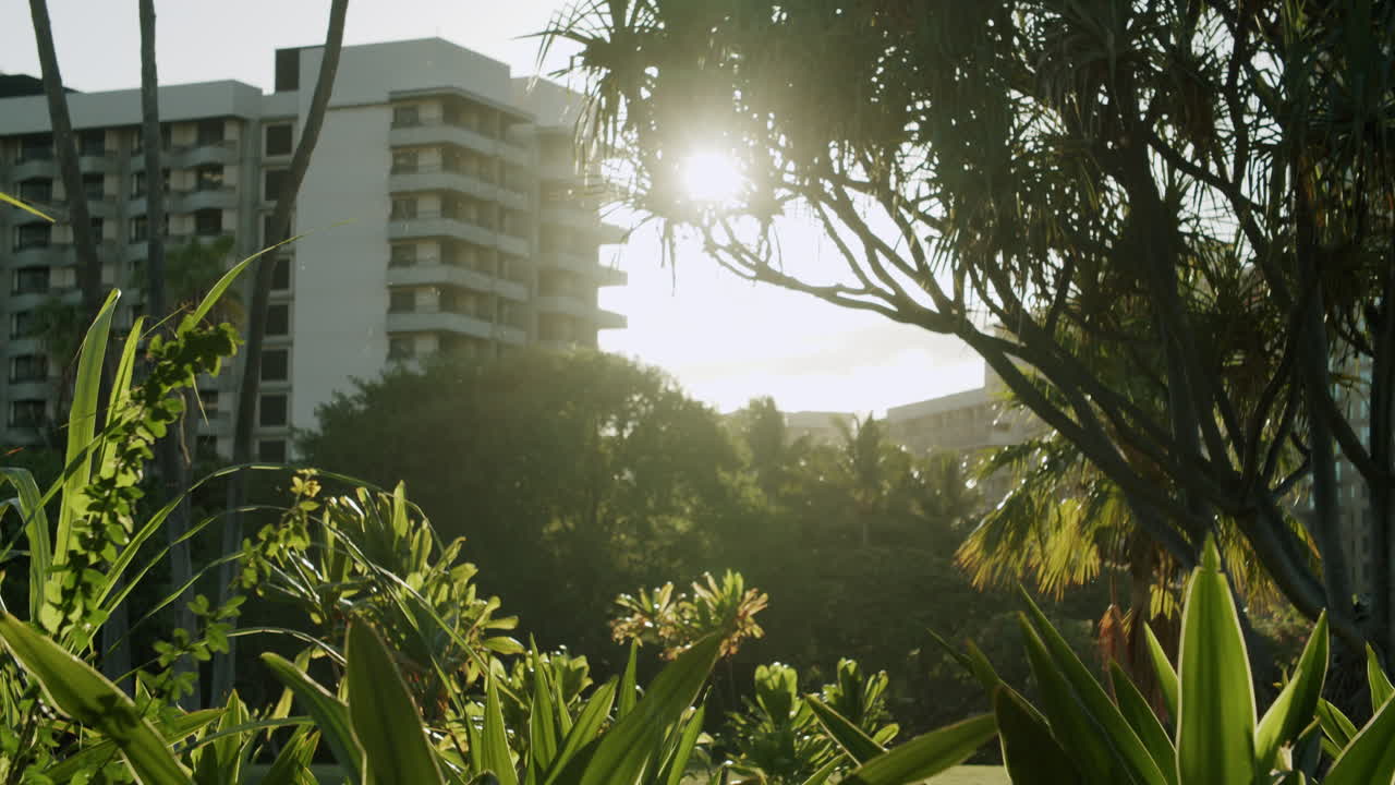 Cena de Resort Tropical com Vegetação Exuberante e Luz Solar