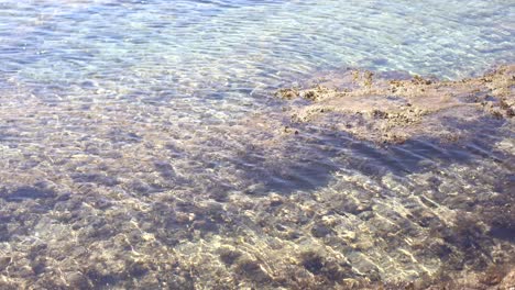 Coral-Muerto-En-La-Playa-O-En-La-Orilla-Del-Mar-En-Color-Gris-Y-Marrón.-Textura-Y-Patrón-De-Fondo-De-Playa-Tropical