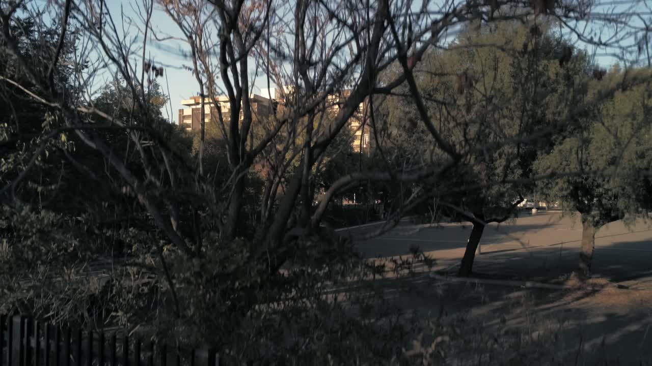 paisaje urbano, los árboles del centro se desplazan hacia abajo