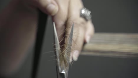 closeup of hairdresser trimming hair with scissors, female haircut stylist