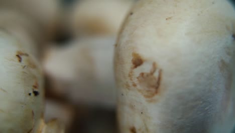 macro detailed video of a pile of mushrooms, raw champignons, white caps on a rotating stand, smooth movement, slow motion 120fps