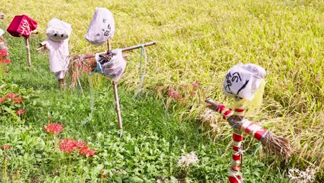 Espantapájaros-En-Campo-De-Arroz-Al-Estilo-Japonés.