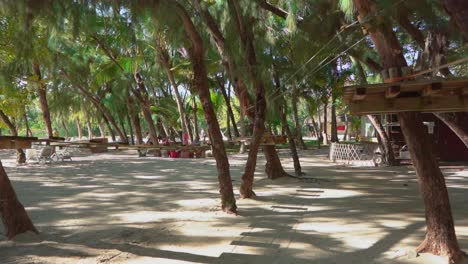 ile aux cerfs with natural trees