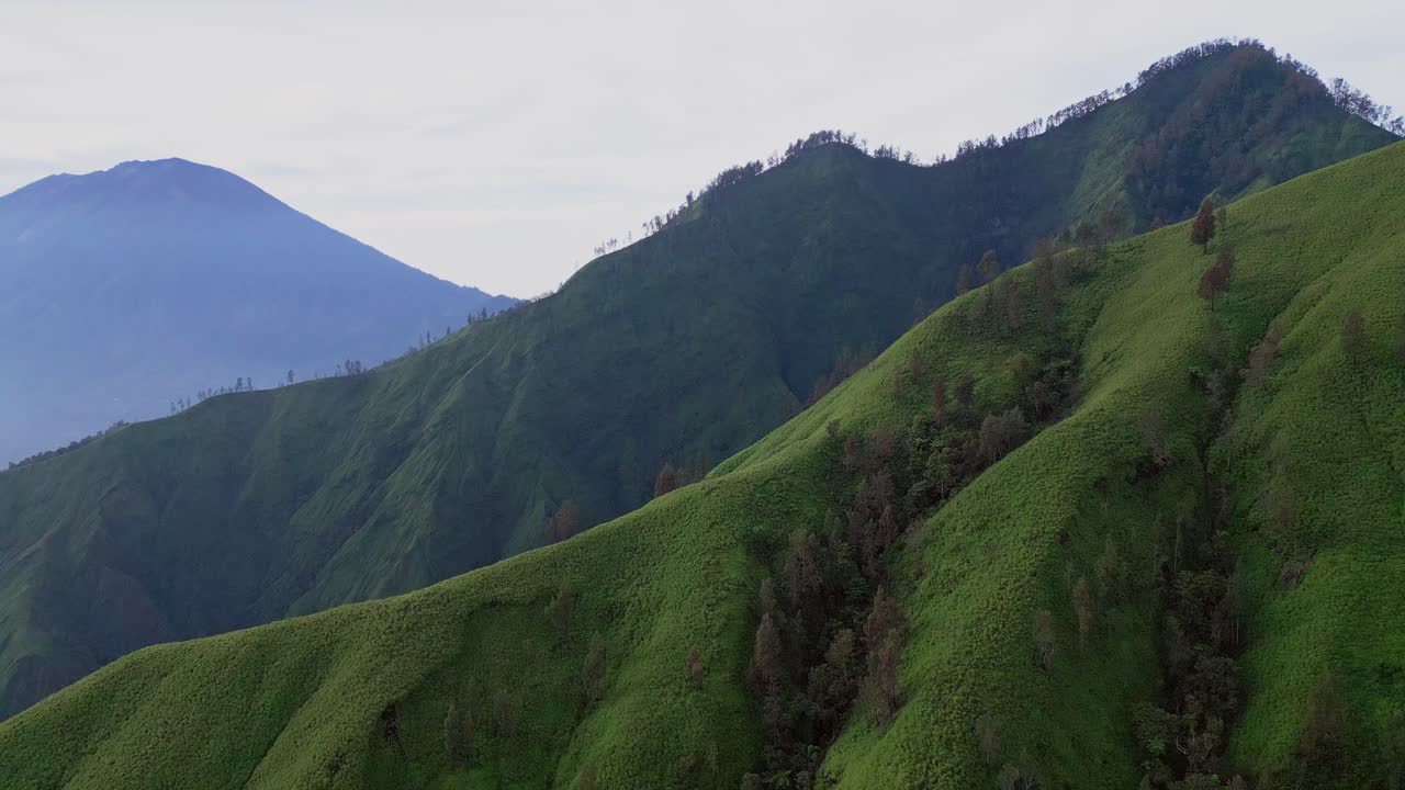 Early morning drone video of Trunyan Hill shows vibrant green forest and farmland glowing in warm sunlight with the impressive volcanic peak of Mount Agung adding drama to the horizon.