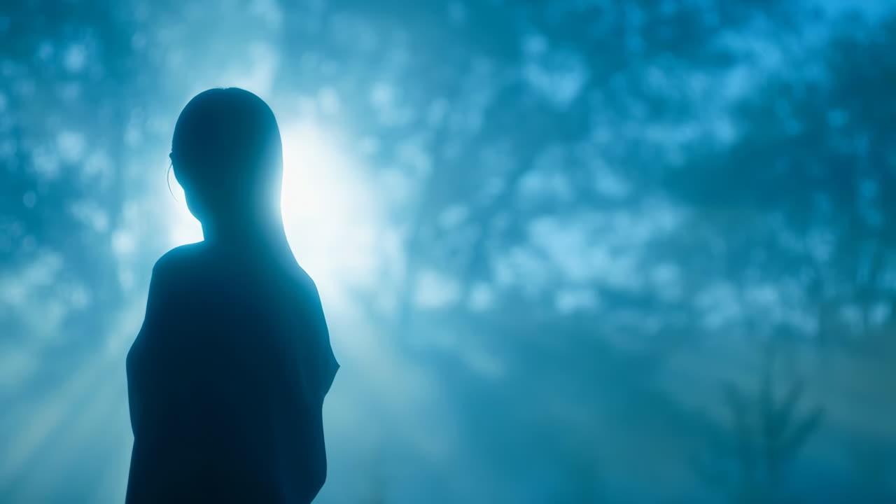 Silhouette of a person standing in dreamy blue misty light