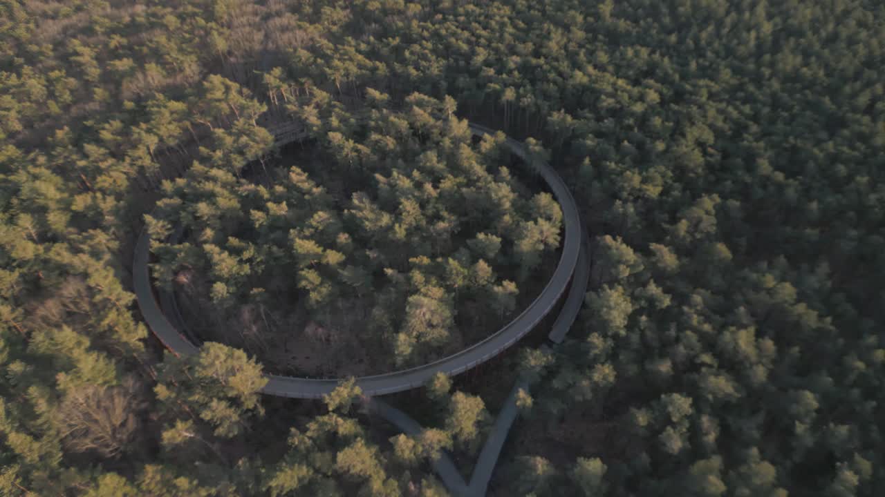 paseo a través del paisaje forestal ascender a las copas de los árboles, vista aérea