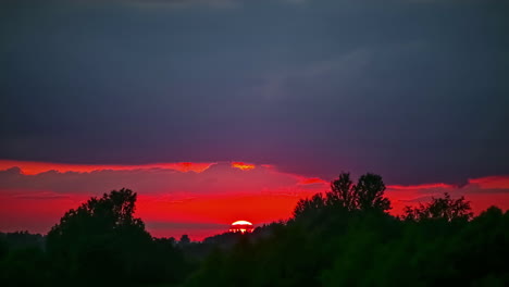 el sol se pone contra el cielo rojo ardiente sobre un denso bosque de árboles