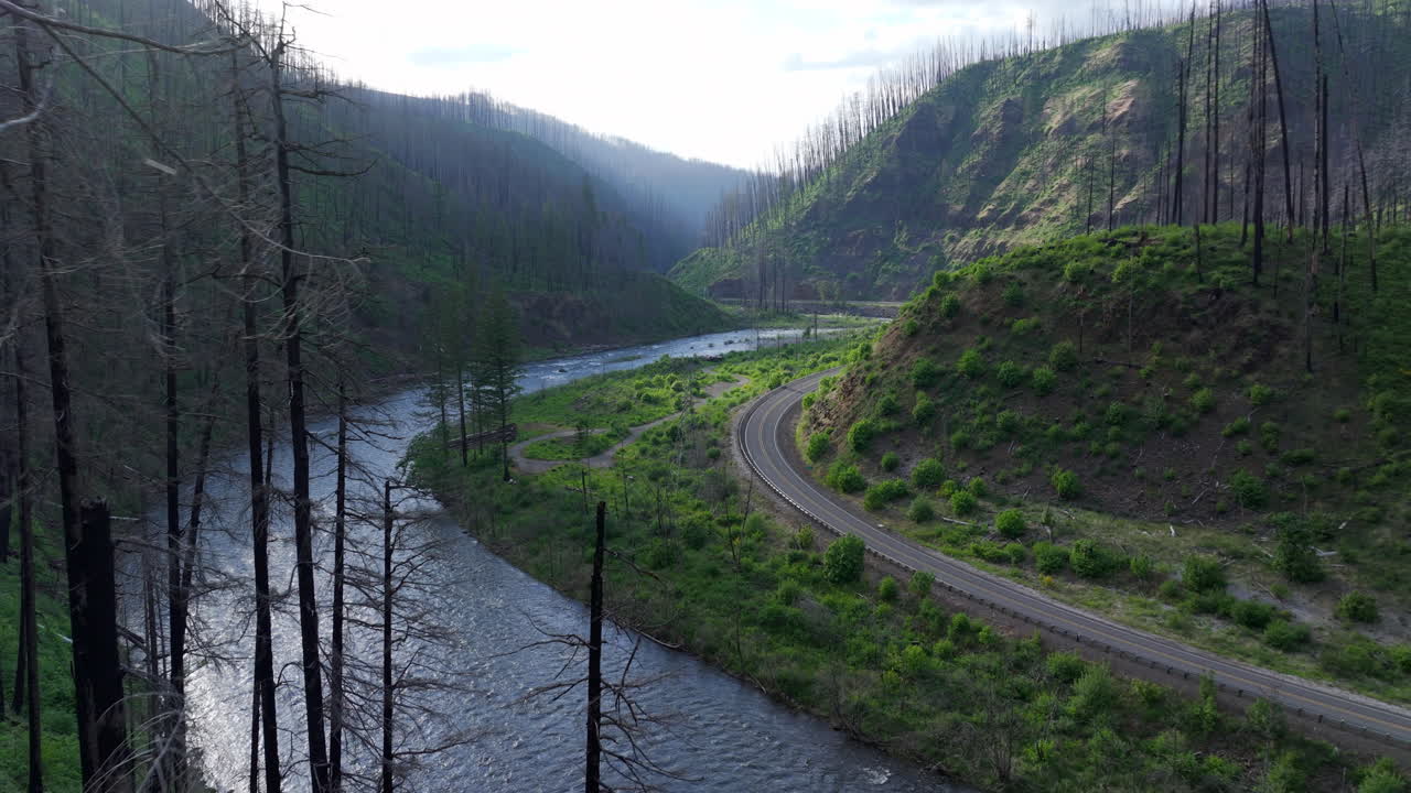 carretera que corta entre las montañas y el bosque