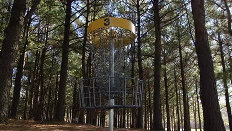 disc golf basket in center frame having a golf disc thrown into is at a fast pace in the mid day sun in a forest