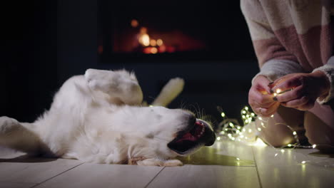 Pet-owner-is-preparing-to-decorate-her-house-with-garlands,-her-dog-lies-next-to-her.-A-fireplace-is-burning-in-the-background---Christmas-Eve