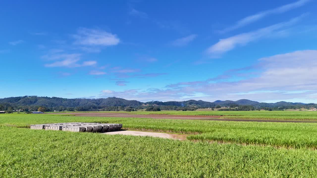 Aerial view of lush sugarcane fields under clear blue skies, showcasing expansive agricultural landscapes and distant mountains