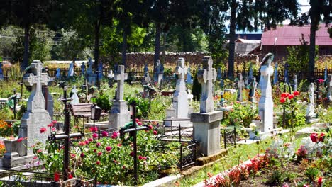 tombs surrounded by coloured flowers on an orthodox cemetery