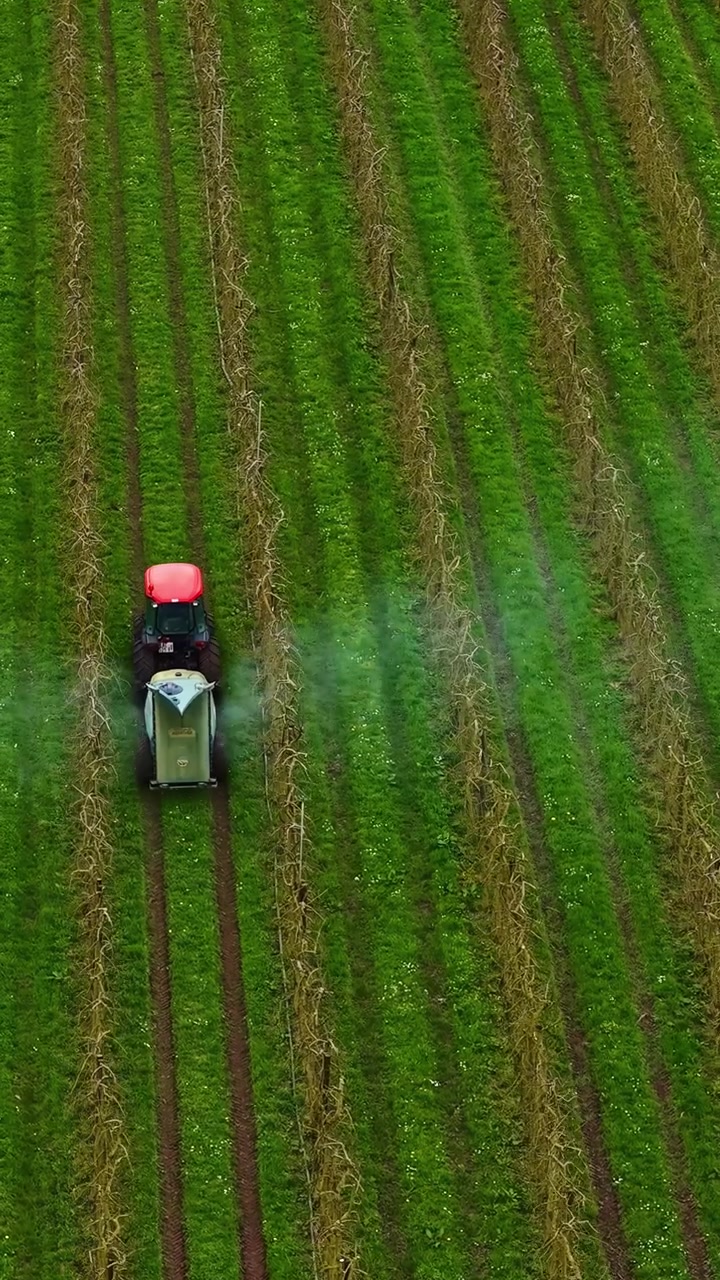 Veduta aerea verticale di filari di vigneti verdi con un trattore che irrora le colture vicino a edifici agricoli e campi di campagna.