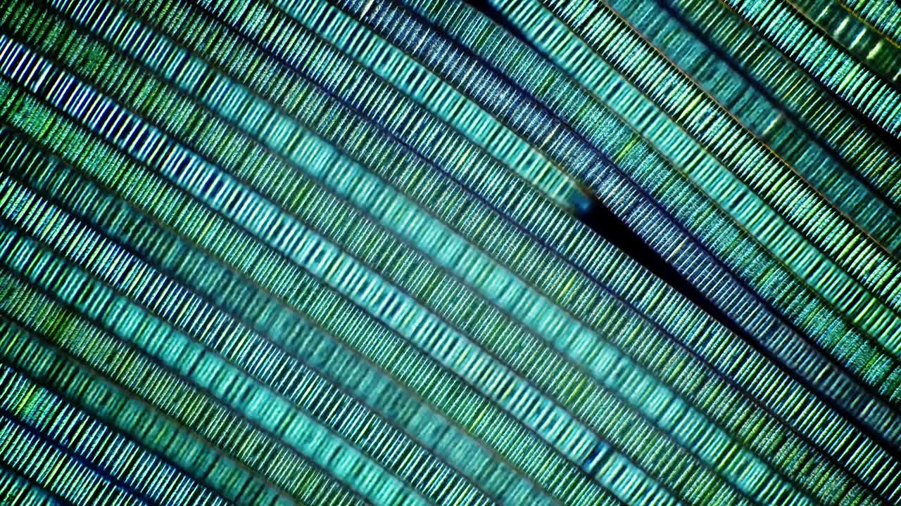 Abstract Close-Up of Iridescent Green and Blue Diagonal Lines