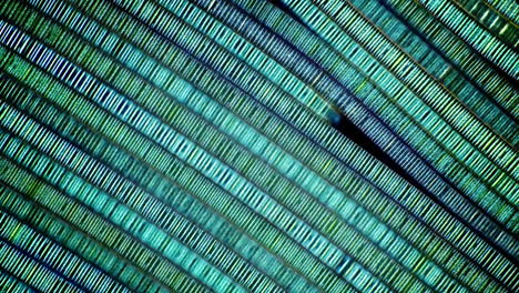 abstract close-up of iridescent green and blue diagonal lines