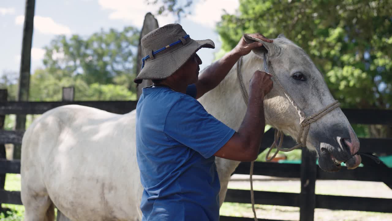 Uomo che striglia un cavallo bianco in una fattoria