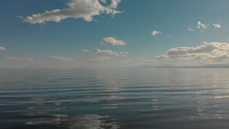 aerial shot of the salton sea and some of its nature and birds, in southern california