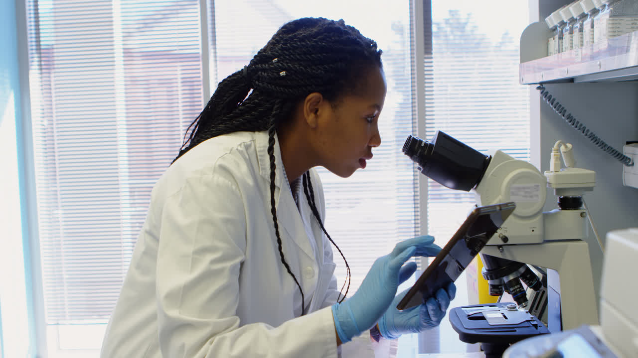 Scientist looking through microscope while using digital tablet 4k