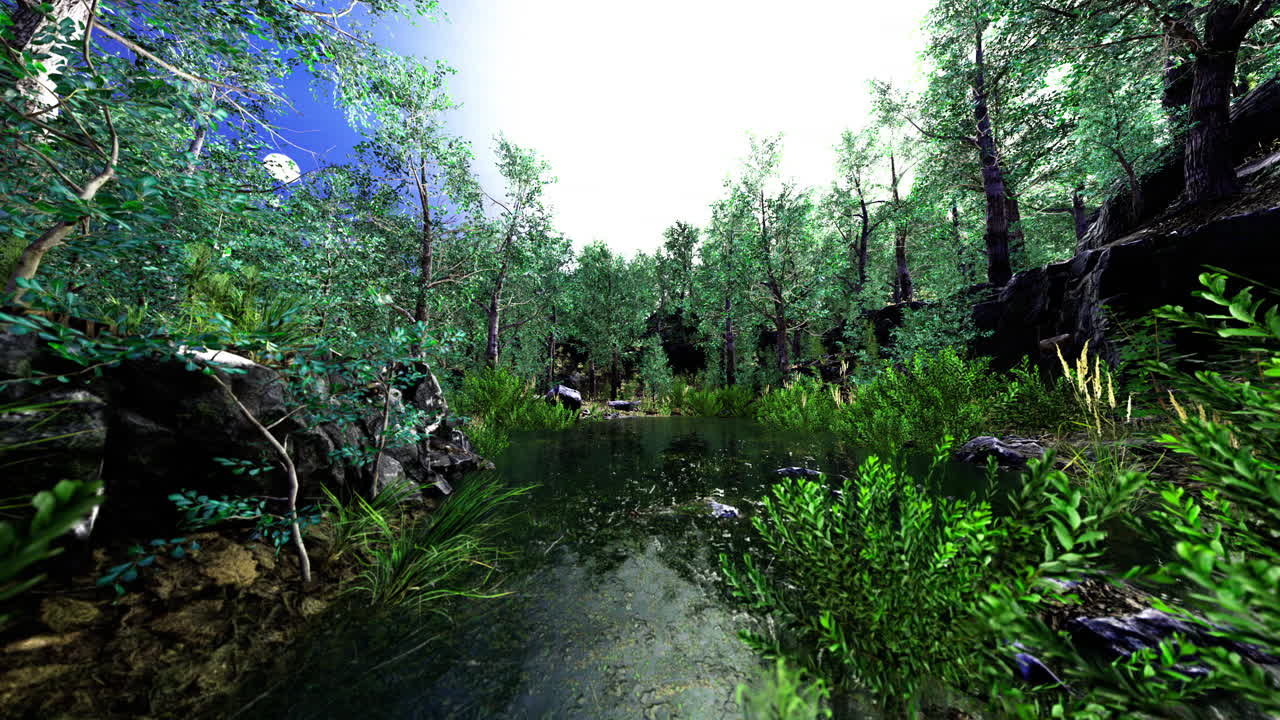 푸른 숲의 풍경과 은 물이 빛나는 하늘을 반영합니다.