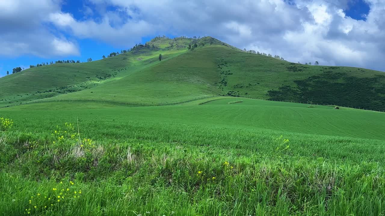 Lush Green Hills Under a Blue Sky: Capturing the Serenity of Nature and Vibrant Landscapes in a Scenic Rural Setting