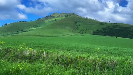 lush green hills under a blue sky: capturing the serenity of nature and vibrant landscapes in a scenic rural setting