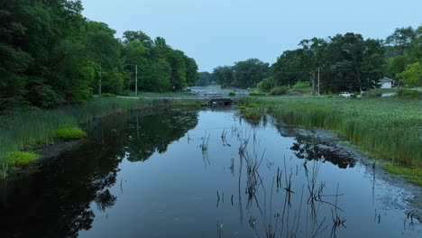 turn to see bridge across marshy creek