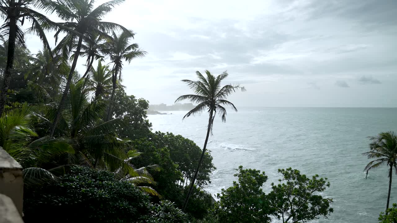 나무, 바다 파도, 구름 인 하늘이 있는 아름다운 열대 해안선입니다.