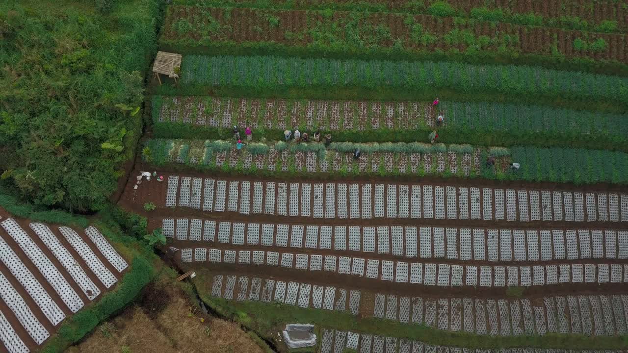 버드아이드론 제작과정 영상