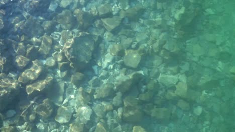 crystal clear water of lake achensee in tyrol, austria