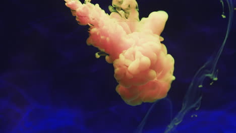 video en cámara lenta de tinta de acuarela rosa y amarilla mezclándose en agua contra un fondo azul