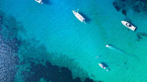 sailboats and yachts floating on transparent turquoise water in a bay at ibiza. breathtaking aerial view flight vertical bird's eye view drone