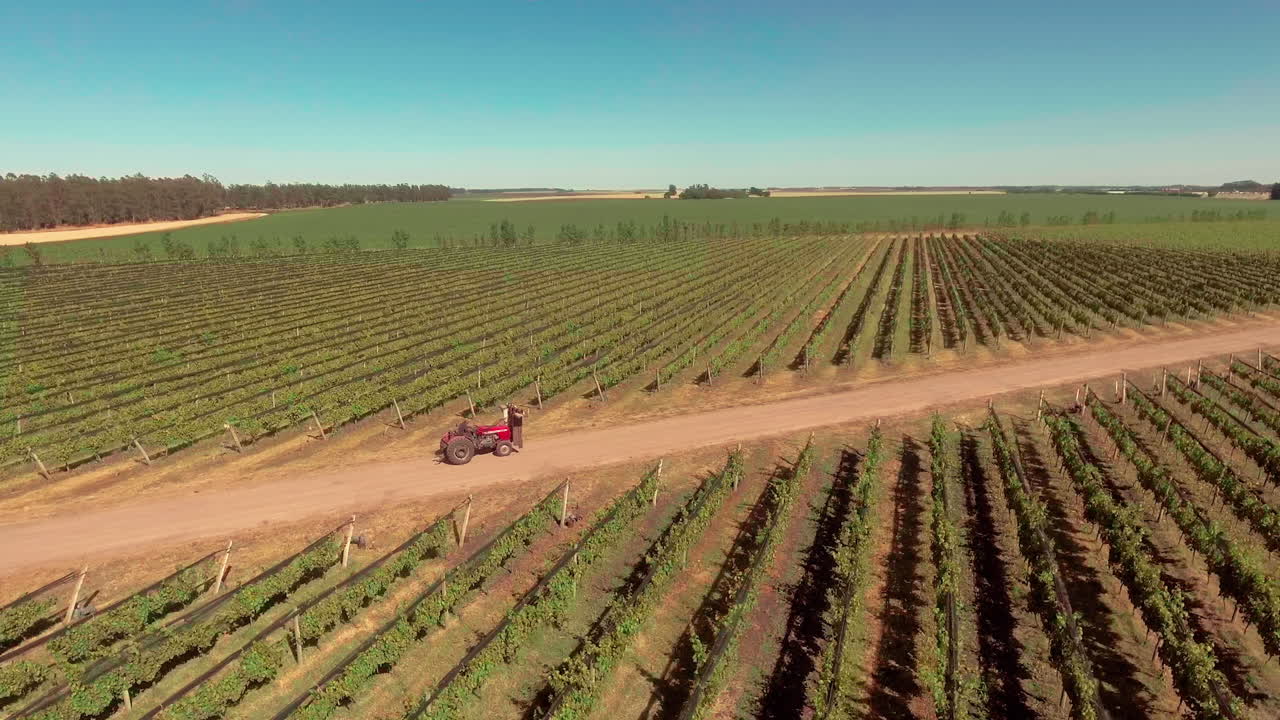 antena - tractor en un viñedo bajo un cielo azul, mercedes, argentina, tiro giratorio