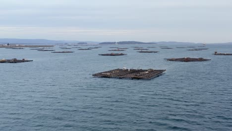 wide frontal view of aquafarming platforms in galician bay