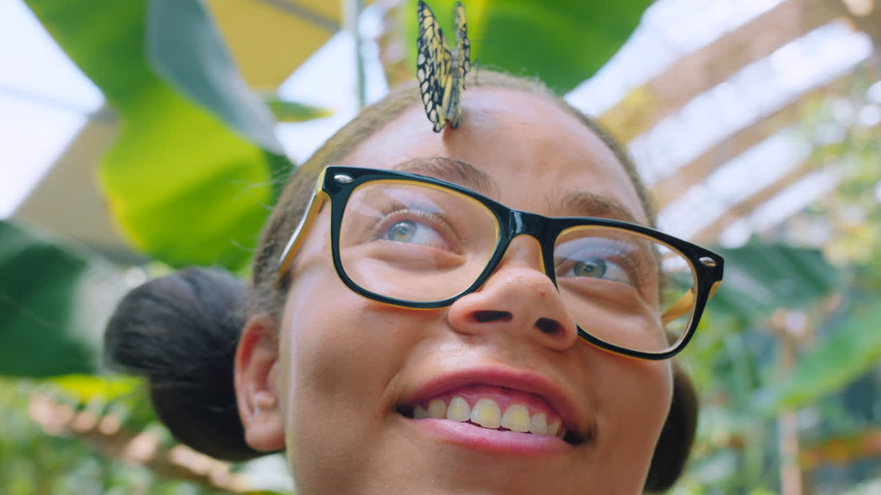 cara, mariposa y niños con un insecto