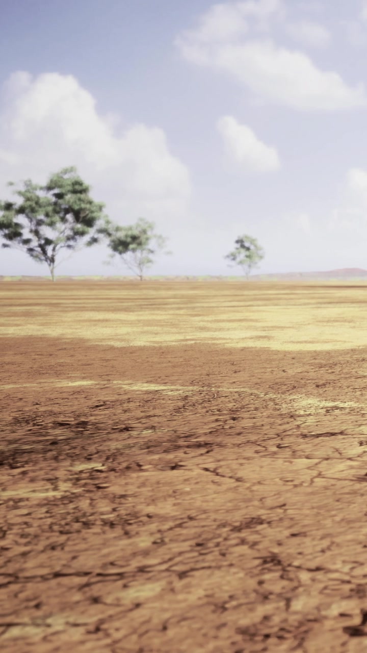 Dry landscape with sparse trees and clear sky during daylight hours