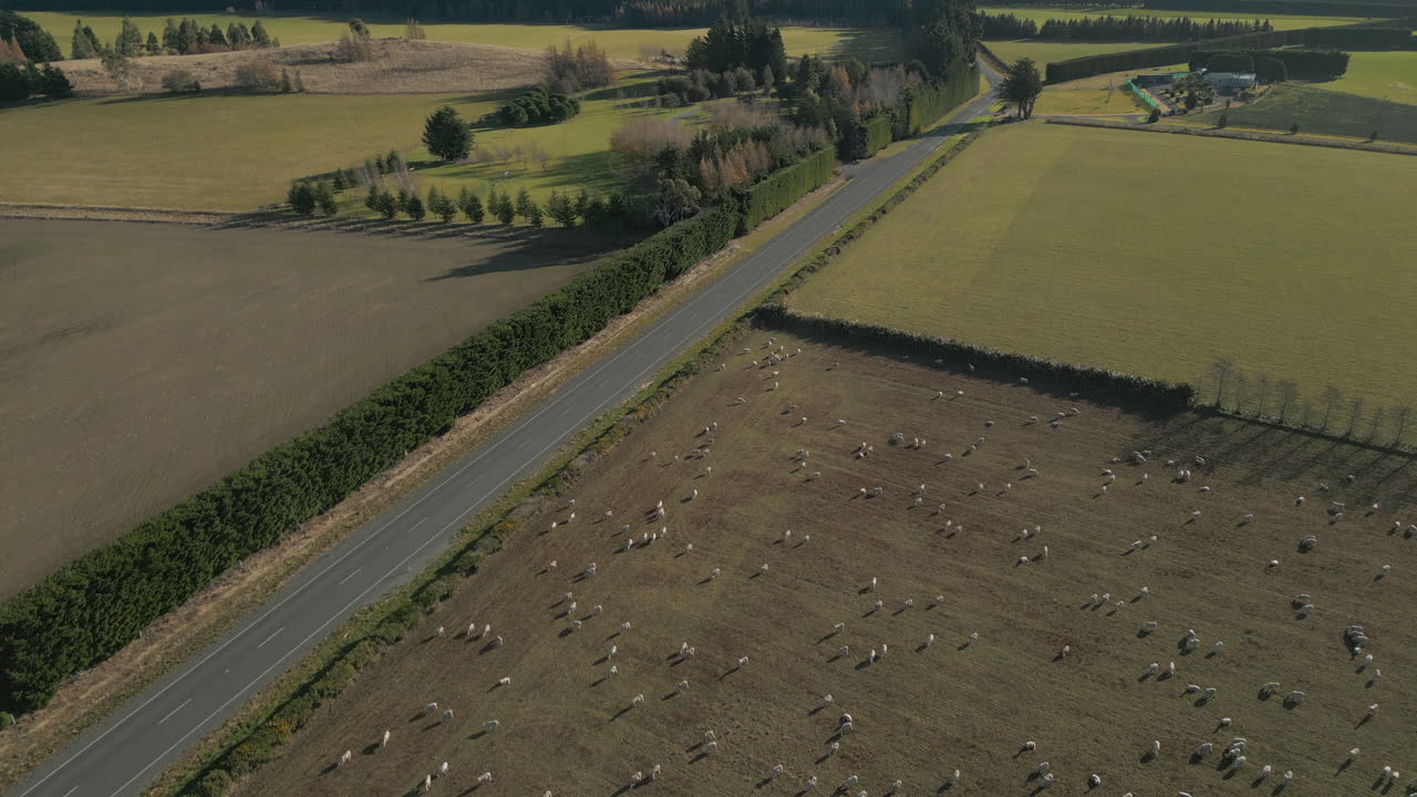 뉴질랜드 시골, 시골 및 산, 드론 업