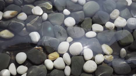 primer plano cámara lenta de agua clara en el estanque con reflejo de la luz del sol