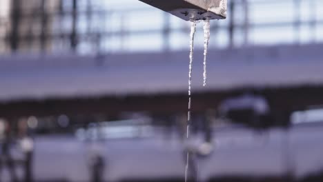 close-up of melting icicles hanging from a metal pipe