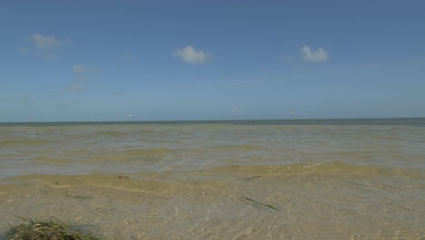 Key-West-shore-edge-beach
