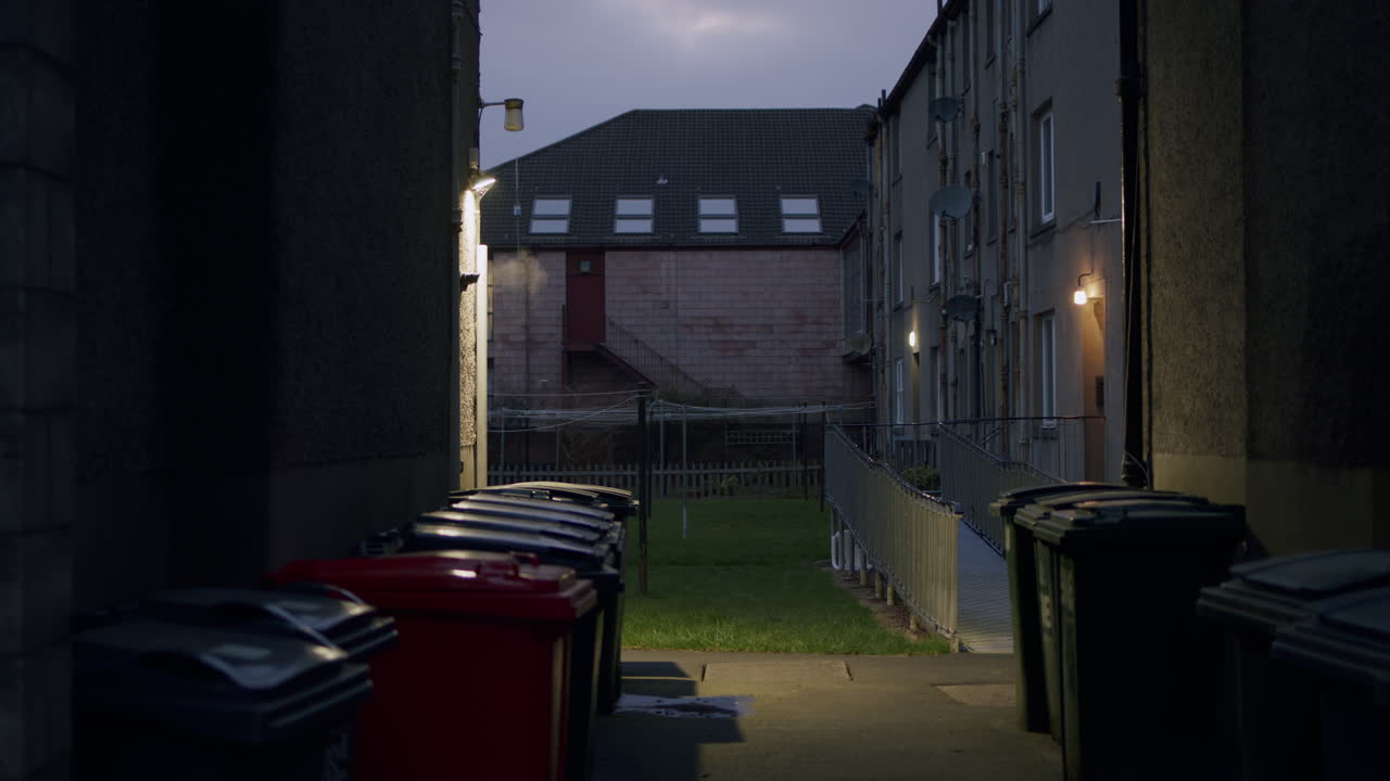 Alleyway between buildings lined with trash receptacle bins at dusk with street lamps on