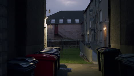 alleyway between buildings lined with trash receptacle bins at dusk with street lamps on