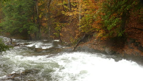 Vista-Desde-Arriba-De-Una-Cascada-De-Un-Arroyo-En-Medio-Del-Bosque