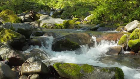 cascading beautiful stream in the mountains of tottori japan